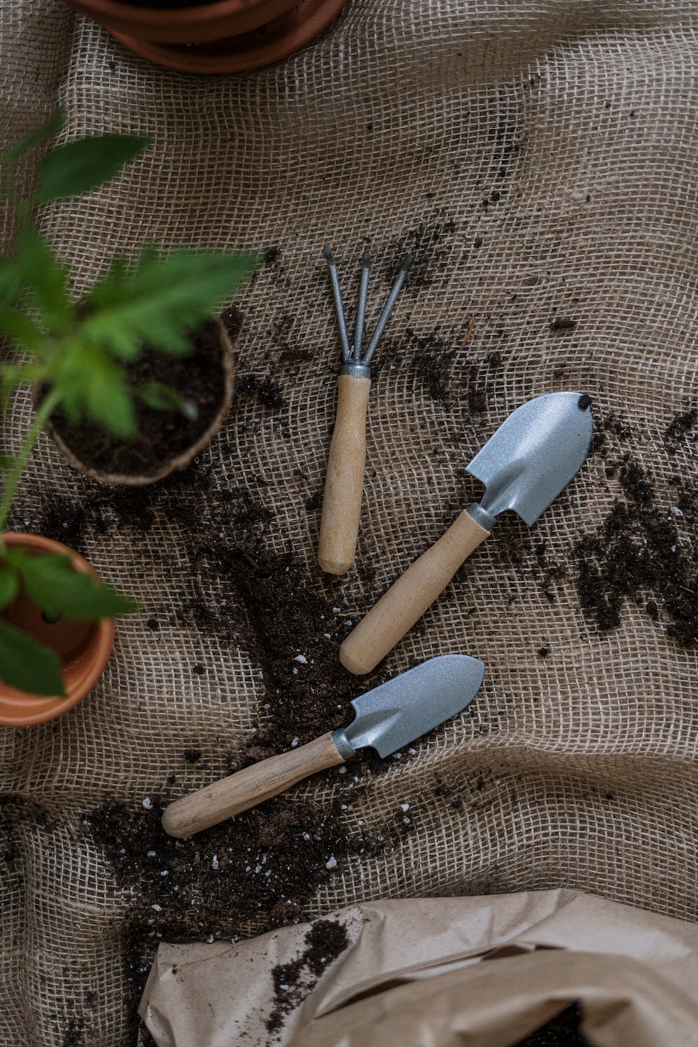 6 Top Gardening Gift Ideas for Vegetable Gardeners