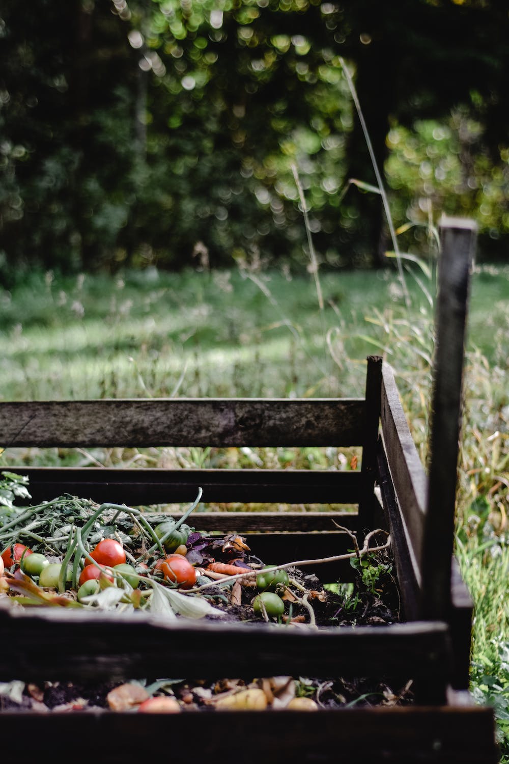 Composting 101: A Beginner's Guide to Sustainable Gardening