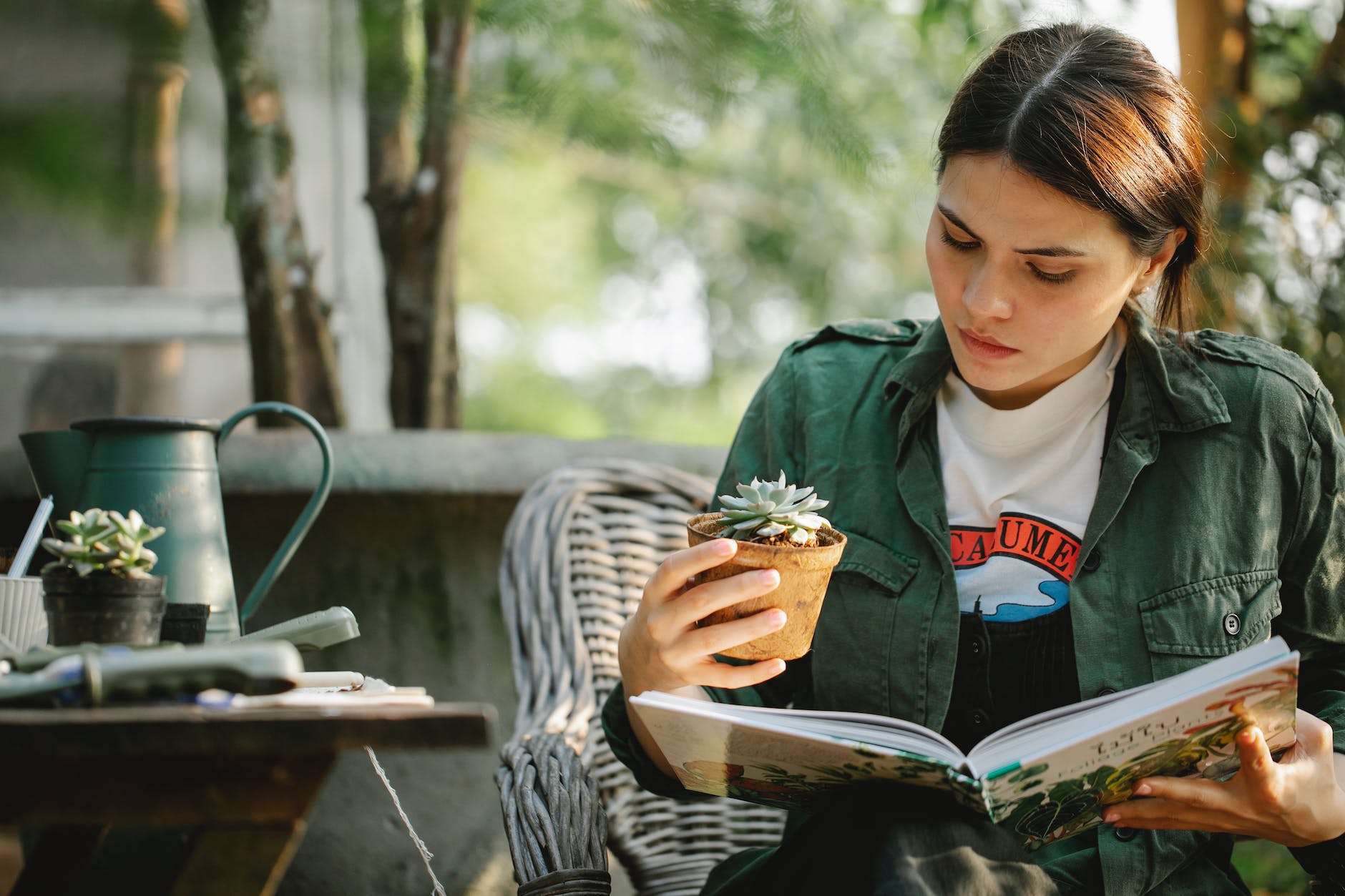 gardener with plant reading book in armchair