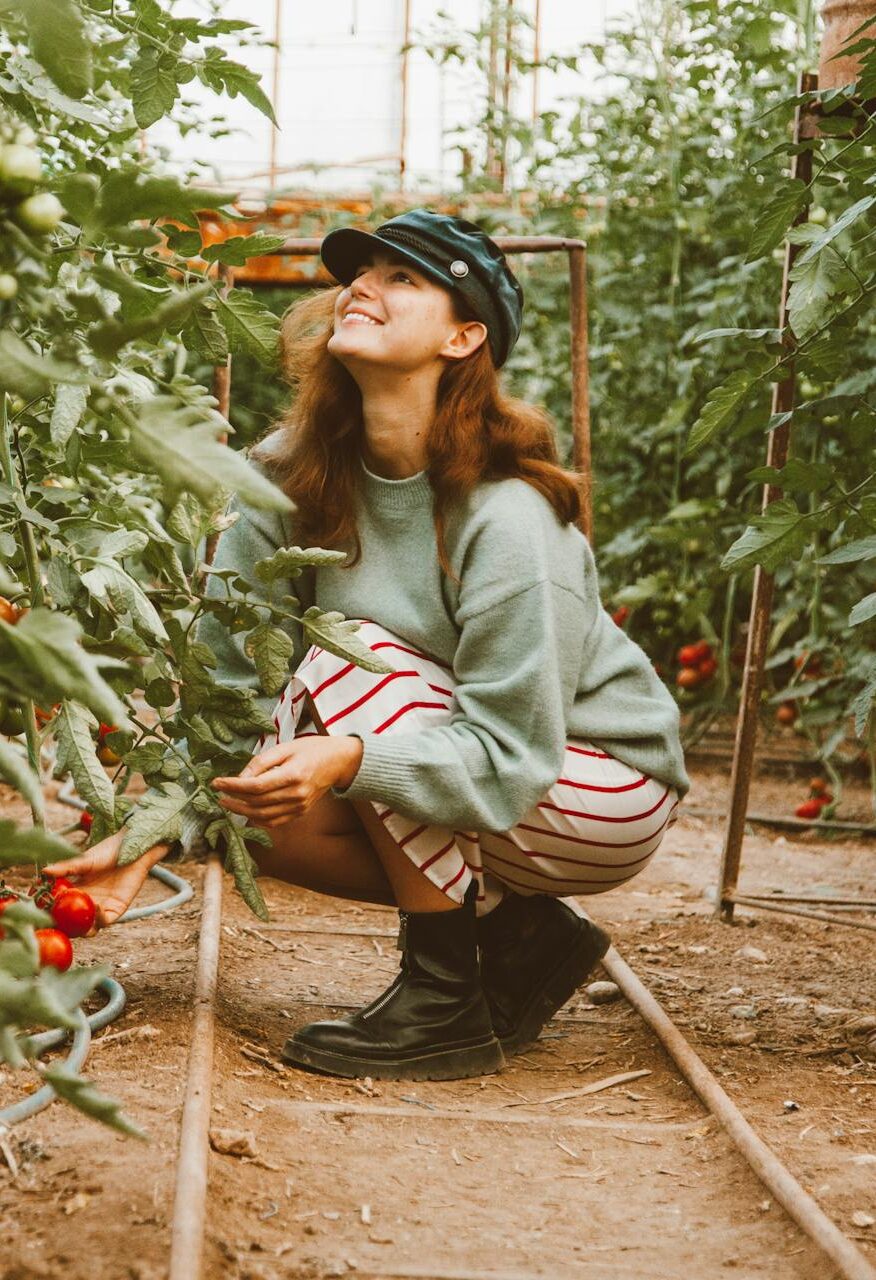 Home Veggie Garden