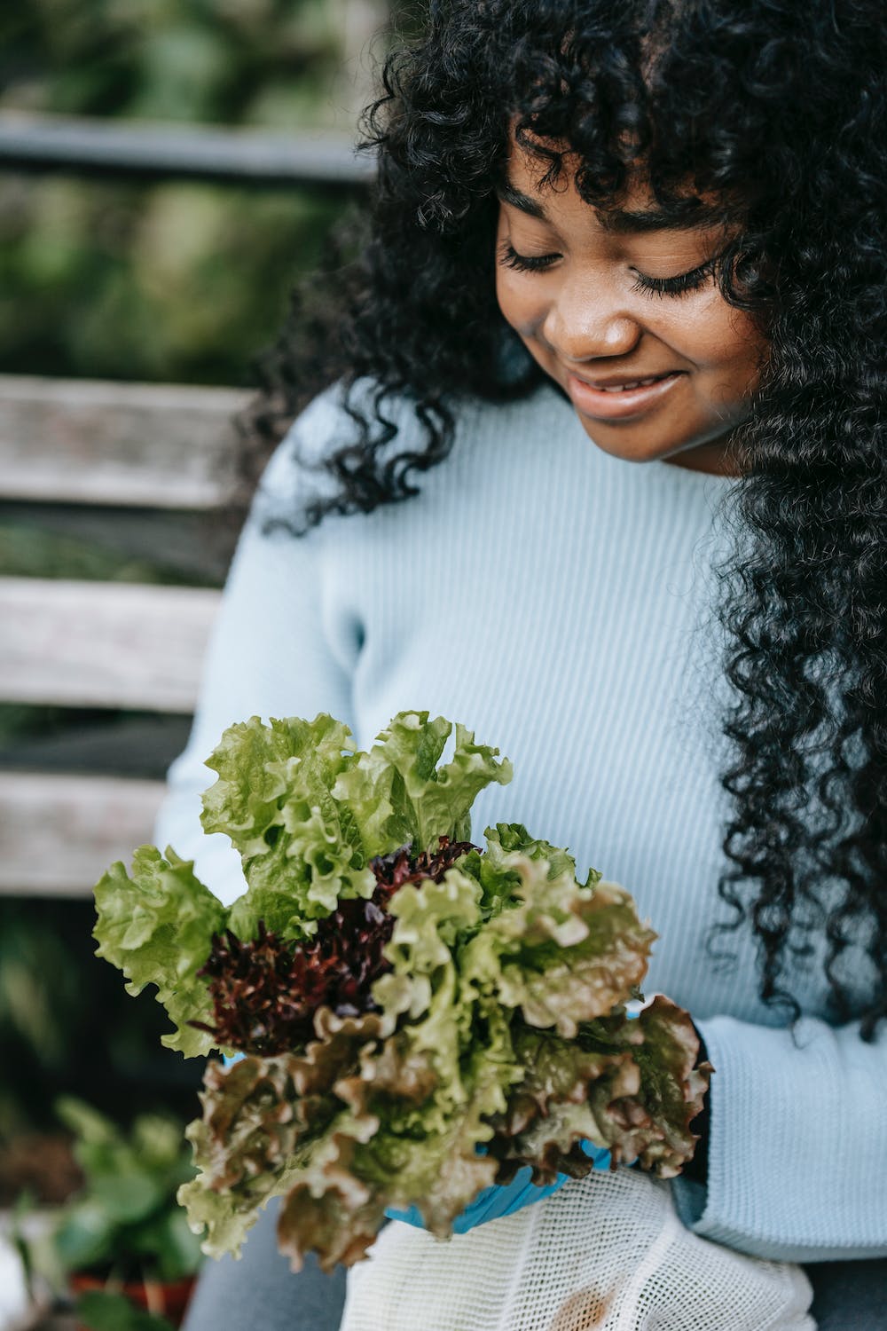 Combatting Powdery Mildew: Essential Tips for Vegetable Gardeners