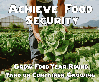 Local Harvest Gardening